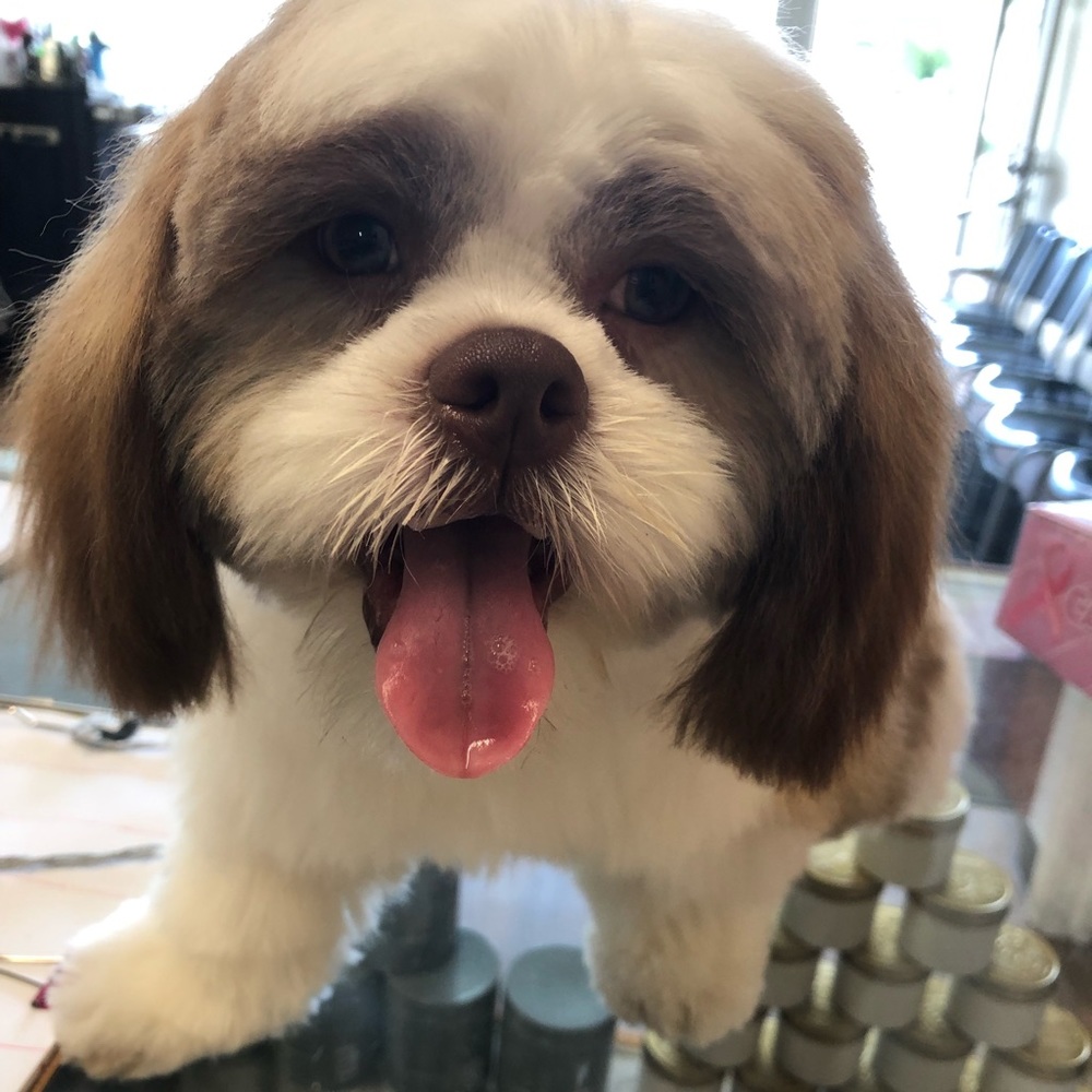 Meet your Posher, Rocio